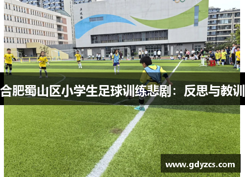 合肥蜀山区小学生足球训练悲剧:反思与教训 合肥蜀山区小学生足球训练悲剧:反思与教训