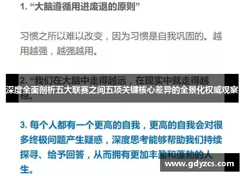 深度全面剖析五大联赛之间五项关键核心差异的全景化权威观察