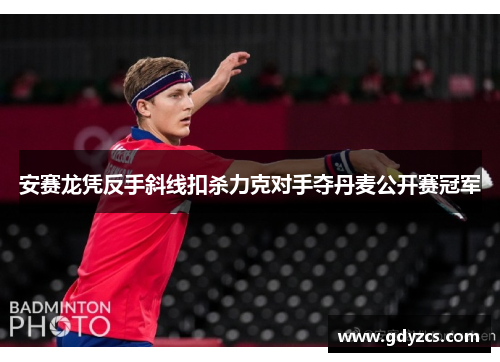 安赛龙凭反手斜线扣杀力克对手夺丹麦公开赛冠军