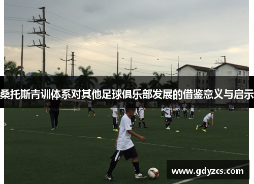 桑托斯青训体系对其他足球俱乐部发展的借鉴意义与启示